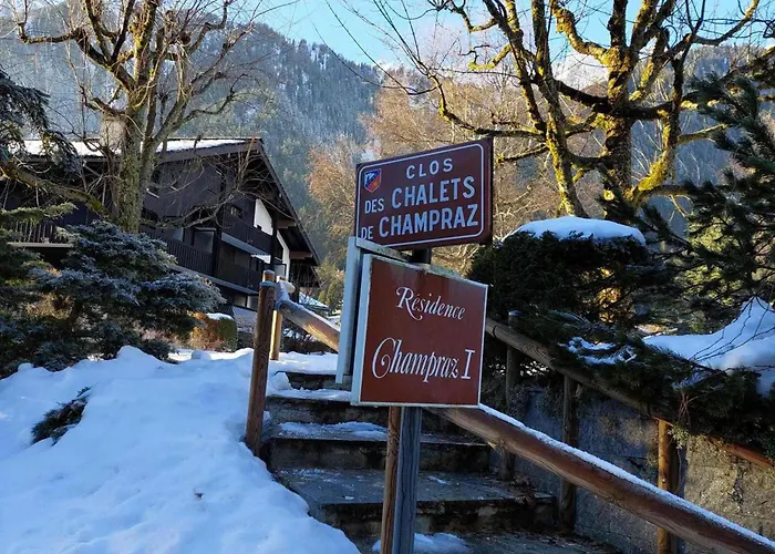 2 Pers. A Avec Vue Montagnes, Parking - Fr-1-517-59 * Chamonix